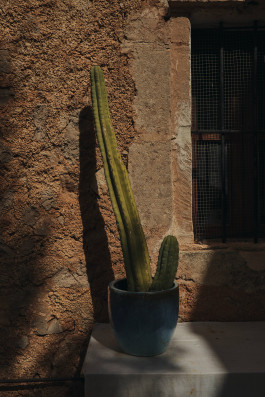 SIMPELTHEN, FASHION, CAMPAIGN, MALLORCA, MODEL, SUMMER COLLECTION, SUMMER, ISLA, COLORFULL, LIFESTYLE,