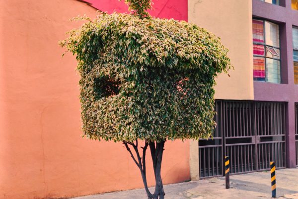 MEXICO CITY, HOME, STREET, TRAVEL, LIFESTYLE,ChiaraBonetti_040